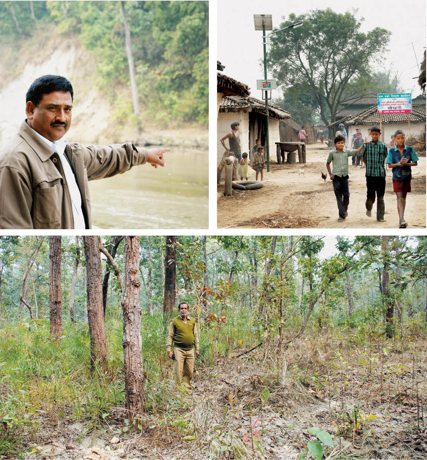 Forests of Don